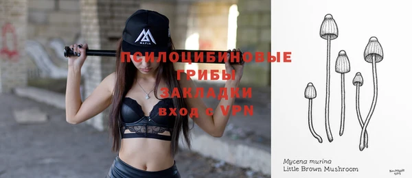 метадон Аркадак